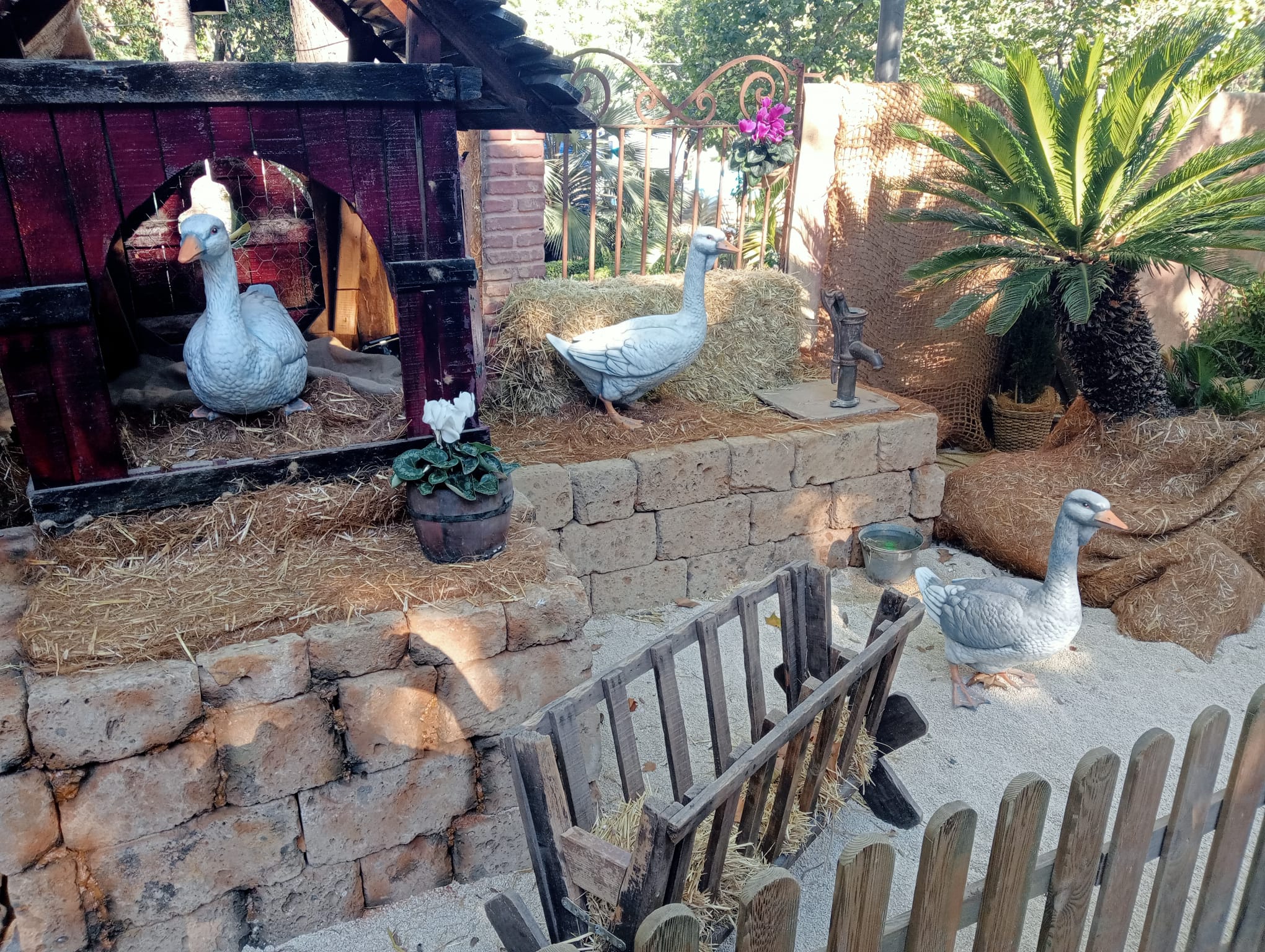 Marcos Sanchis (PP): “el cambio climático ha llegado al Belén de Xàtiva”