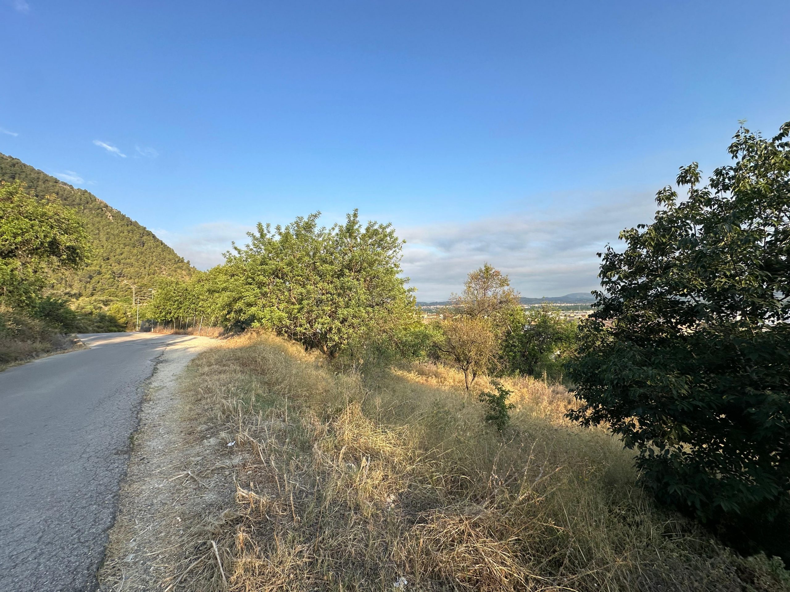 Una propuesta de adjudicación permite mantener el calendario previsto para el nuevo Centro de Día de Xàtiva