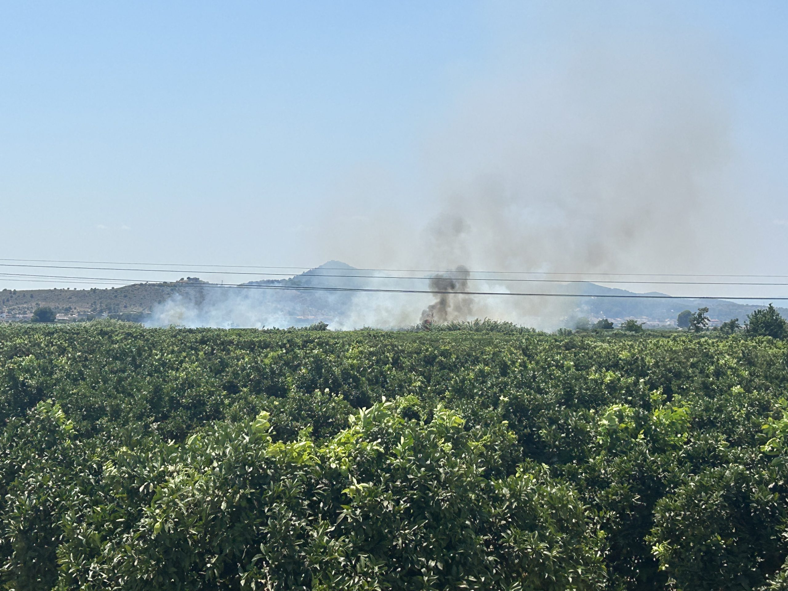 Activo un incendio de vegetación en l’Ènova